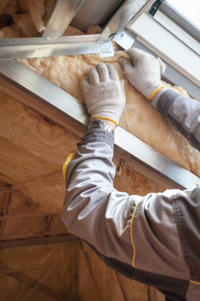 Professional Insulation Contractor in WI